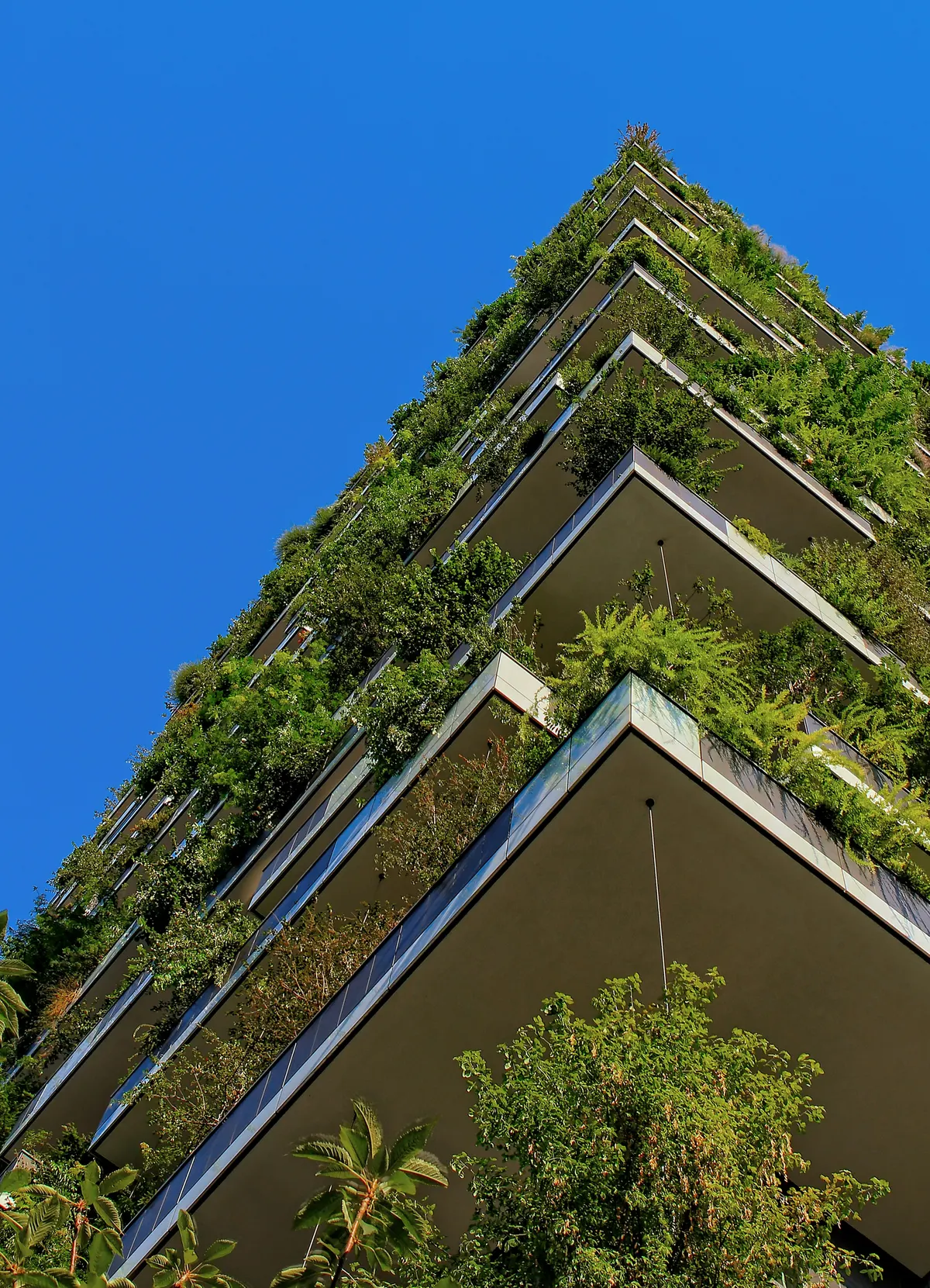 Best carbon reporting software — green vertical-garden building against a blue sky