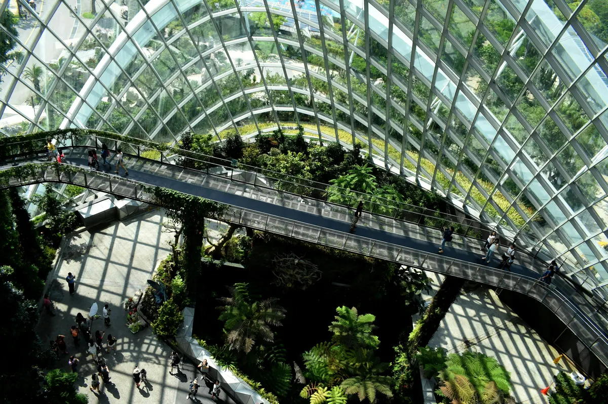 Carbon reporting software by sector — walkway through a vast glasshouse biodome