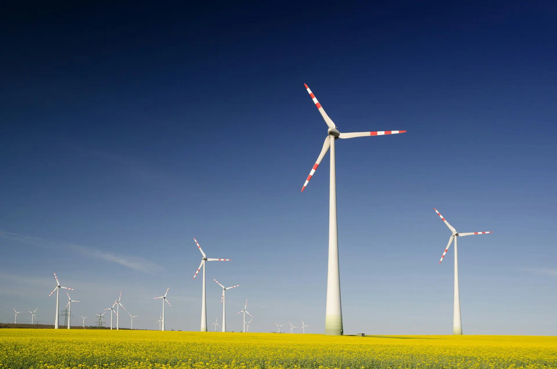 CFD vs TCFD — wind turbines above a flowering rapeseed field, the statutory regime against the voluntary framework