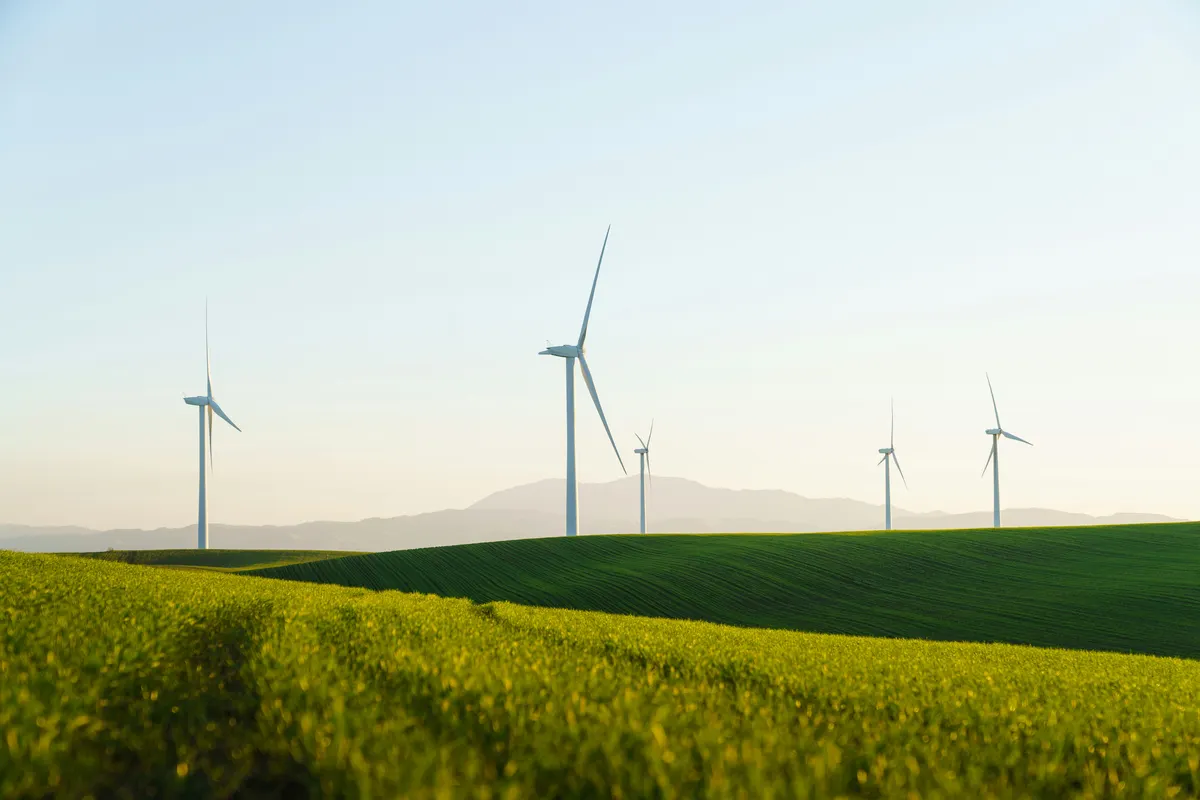 ESOS Phase 5 dates — wind turbines across green farmland under a pale sky