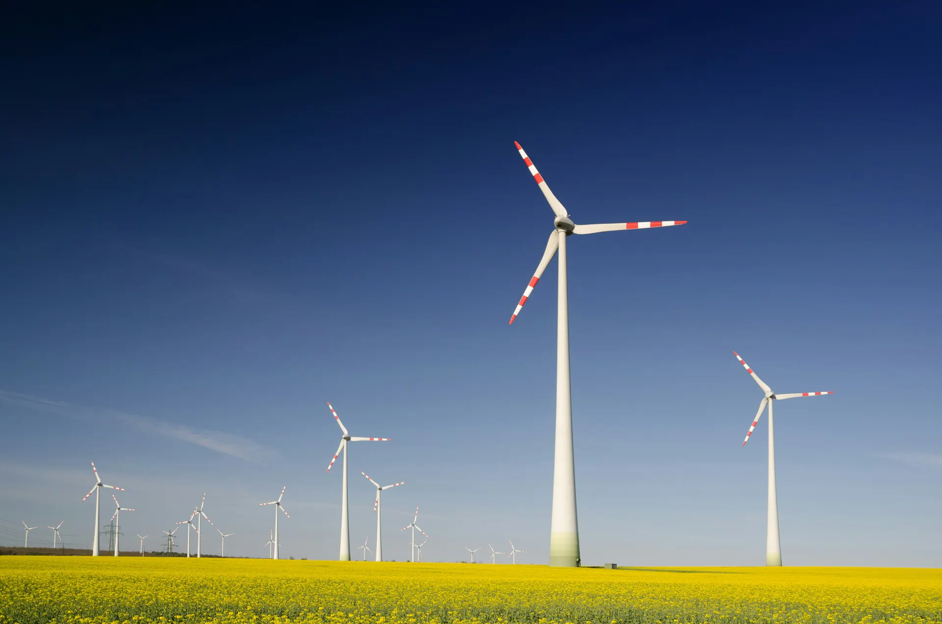 ESOS phases — wind turbines above a flowering rapeseed field in the UK