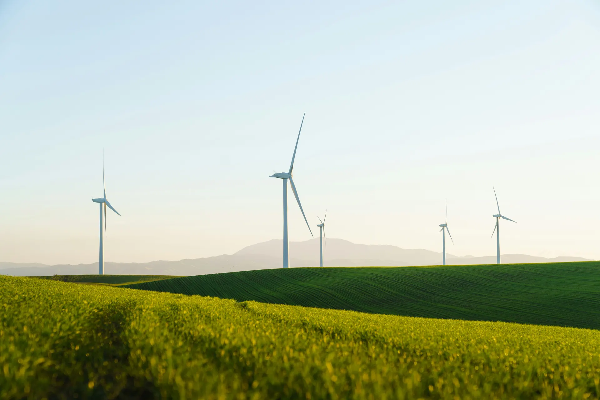 ESOS qualification thresholds — wind turbines across green farmland under a pale sky