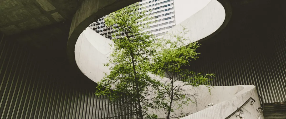 ESRS-40a mixed approach — a tree crossing corporate concrete, non-climate impacts that may stop at the EU border