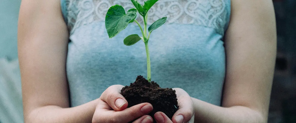 Respond to the ESRS-40a consultation — hands holding a seedling, EFRAG's questionnaire open to 31 October 2026
