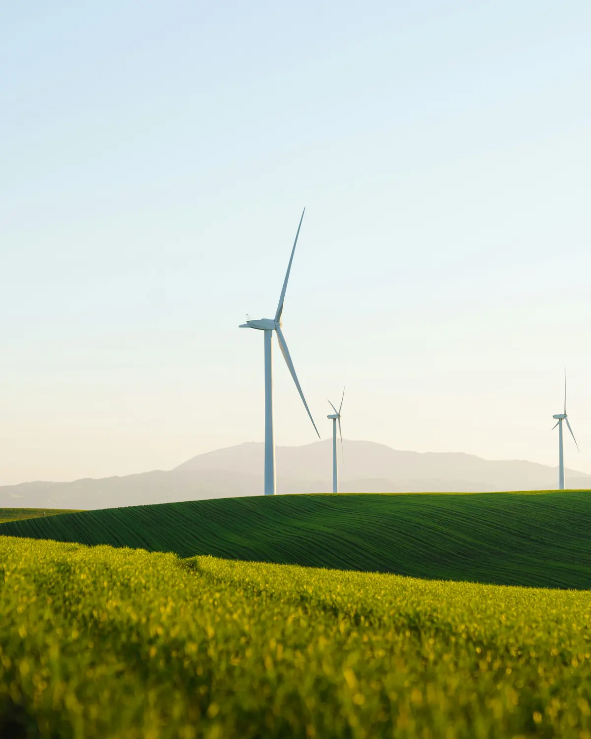 ESRS 40a against UK SRS — turbines at dawn over UK farmland, impact materiality set beside the ISSB financial-materiality baseline