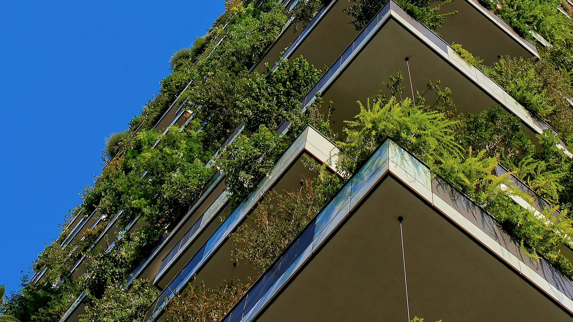 GHG reporting software — a living green facade on a corporate building, the organisation whose emissions the GHG Protocol makes a measured quantity
