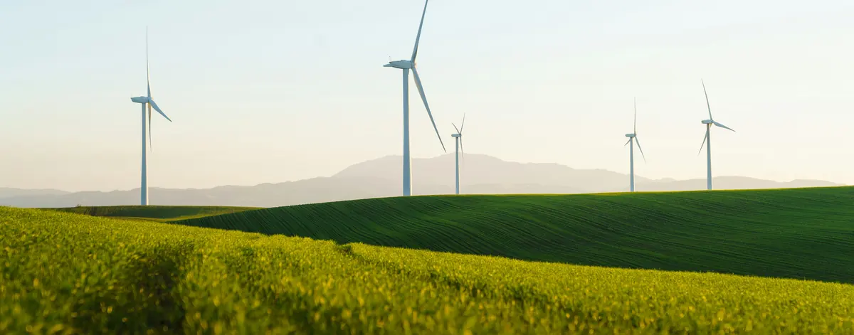 GHG reporting software — wind turbines at dawn over UK farmland, the bottom line on what a platform must actually hold