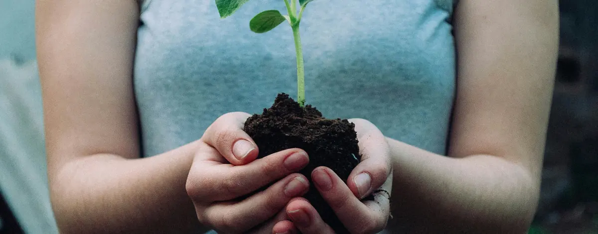 Greenhouse gas reporting software and the 15 Scope 3 categories — hands holding a seedling, the value chain the minimum boundary defines