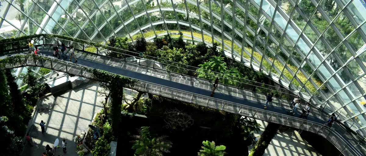 SECR and ESOS Phase 4 — the glass biodome canopy, two energy tests on one dataset