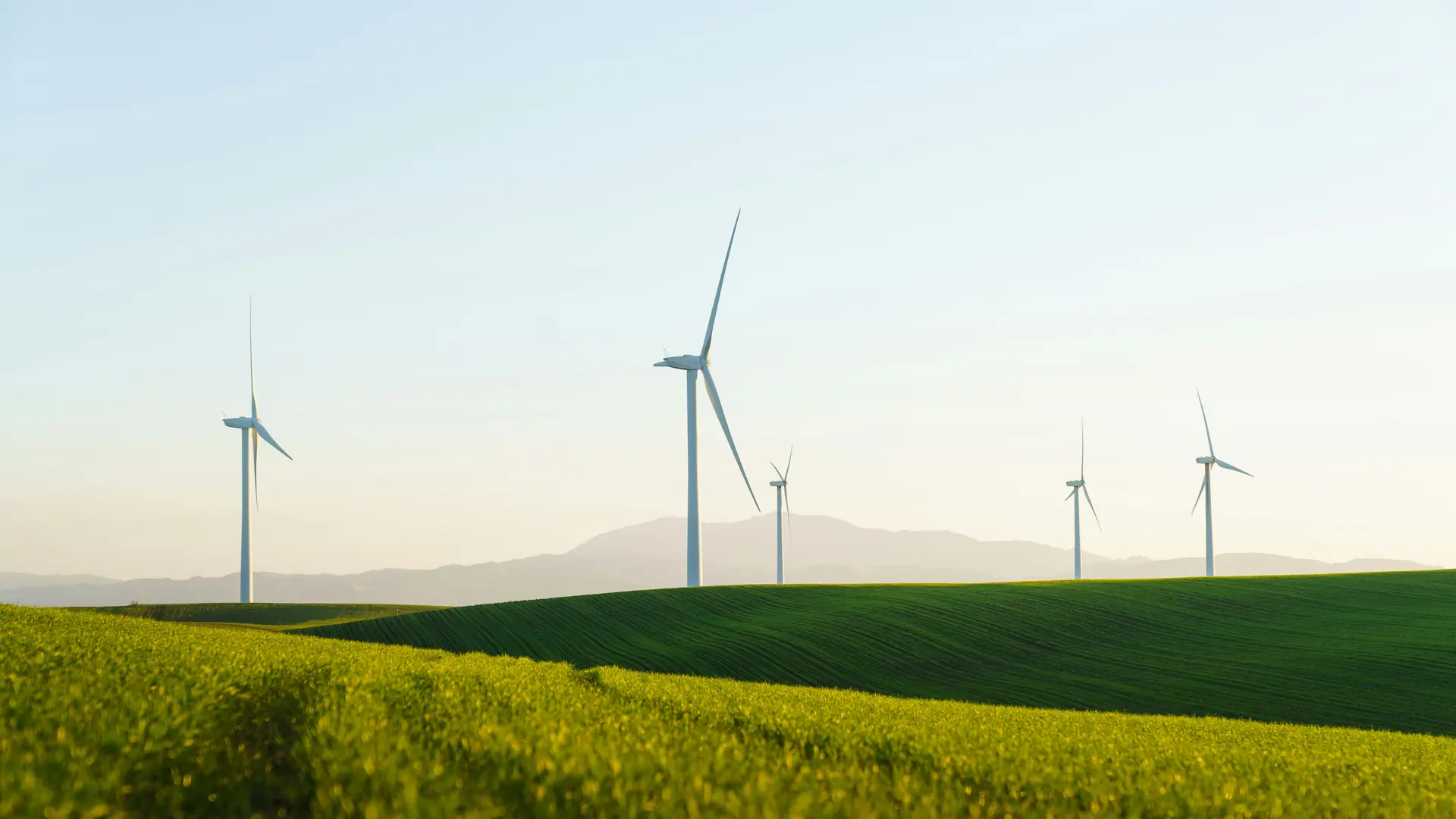 SECR requirements 2026 — wind turbines above UK farmland, the energy that Streamlined Energy and Carbon Reporting measures