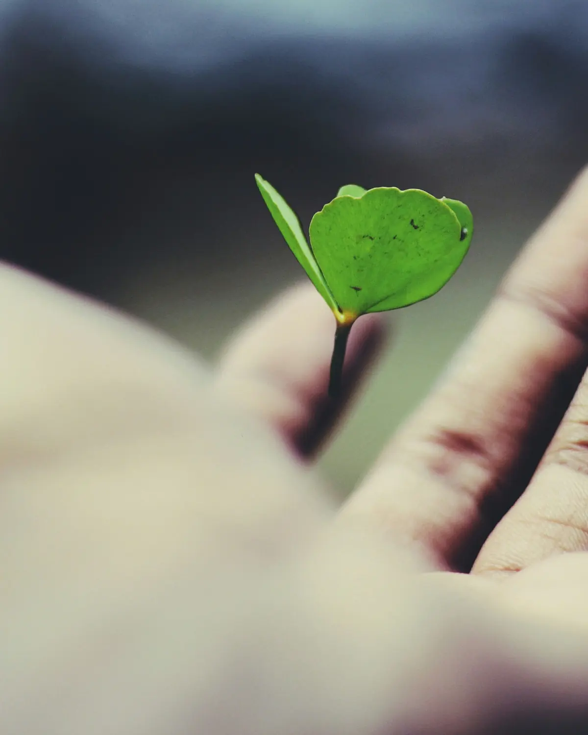 UK SRS consultation Annex A — a single leaf held in an open hand, the paragraph-by-paragraph mapping of every amendment