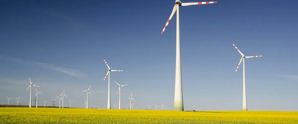 UK SRS consultation timeline — wind turbines above a flowering rapeseed field, from exposure draft to proposed rules