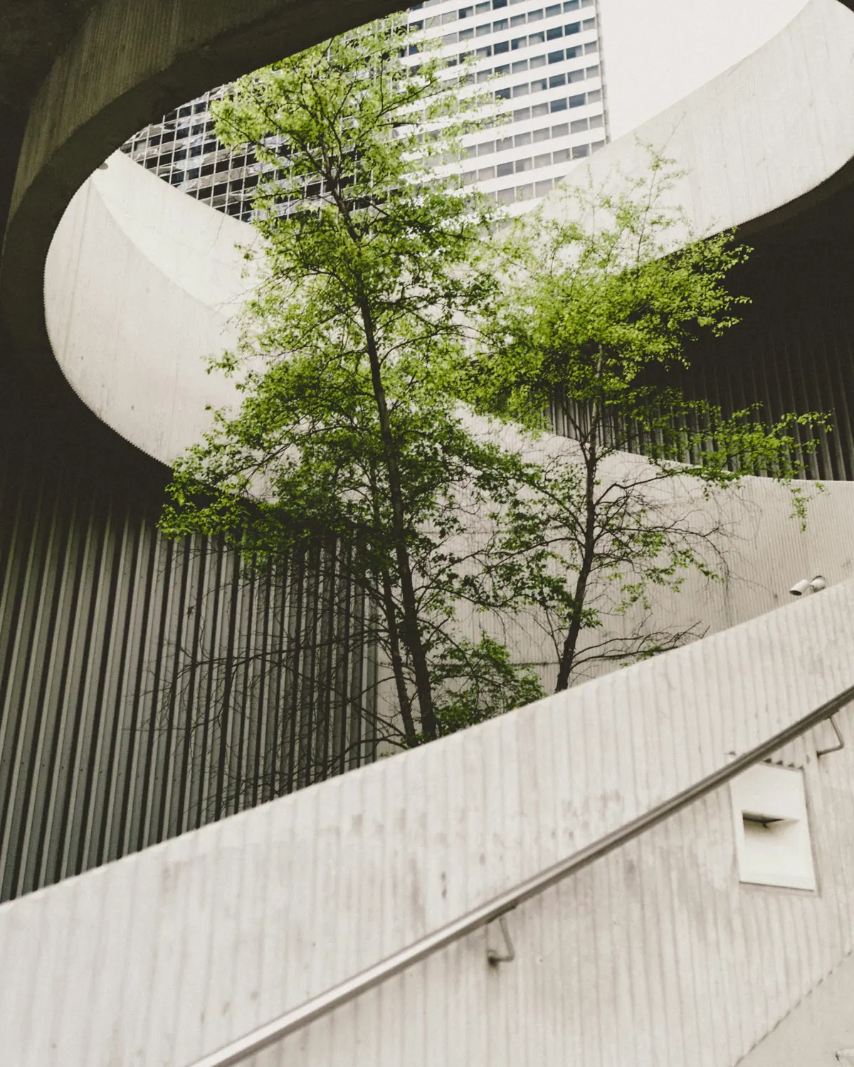 UK SRS S1 and S2 published for voluntary use — a tree growing through corporate concrete, standards issued with no effective date