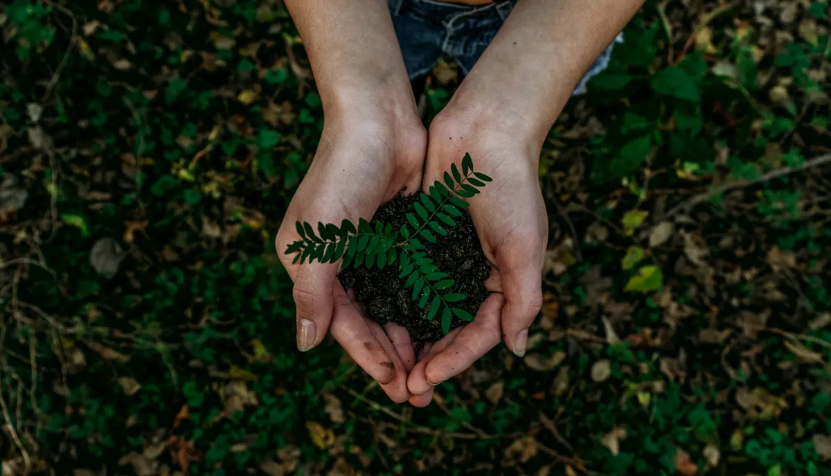 UK SRS S2 materiality judgements — hands holding a fern in dark green undergrowth