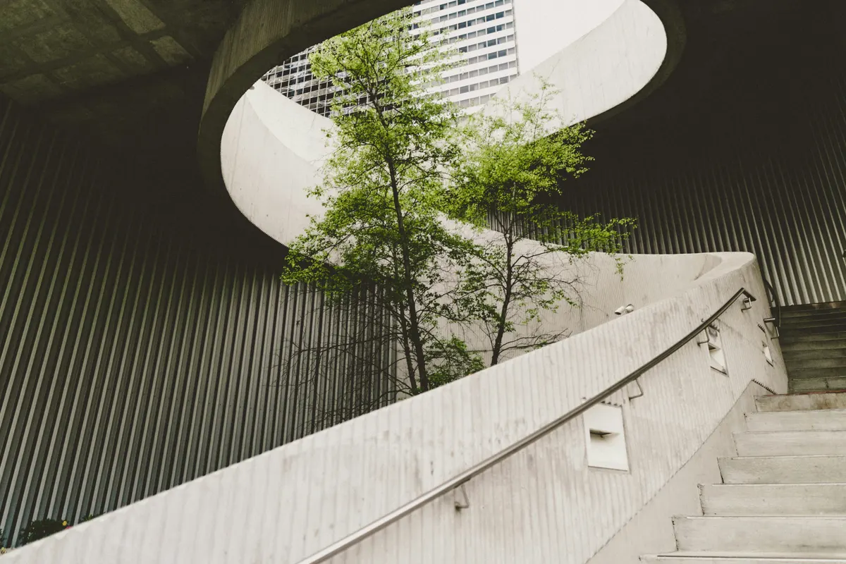 UK SRS S2 climate-related disclosures — a tree growing through modern office architecture