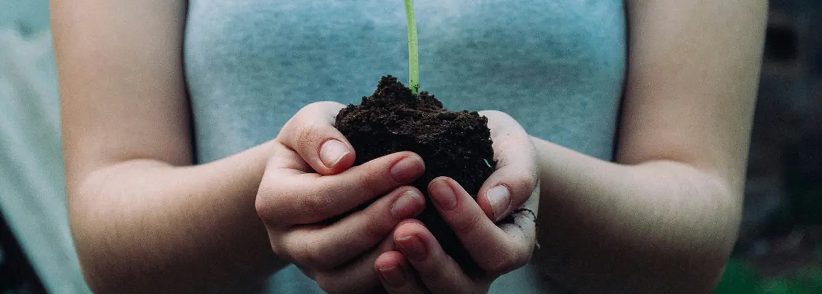 UK SRS timeline &mdash; the first reports would land in 2028, hands holding a seedling in dark soil