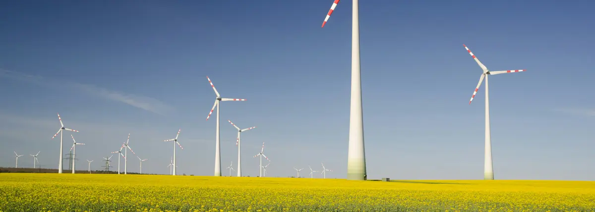 UK SRS timeline beside the parallel UK reporting calendar &mdash; turbines above a flowering rapeseed field, SECR, ESOS and the Companies Act climate rules